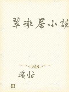 翠微居小说