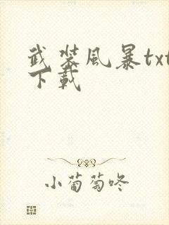 武装风暴txt下载
