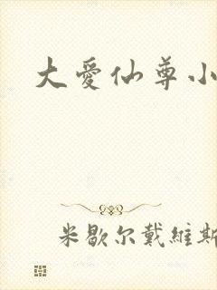 大爱仙尊小说封面