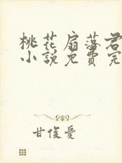 桃花扇落君不还小说免费完整版