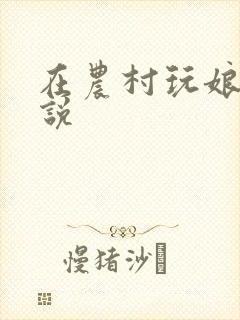 在农村玩娘俩小说封面