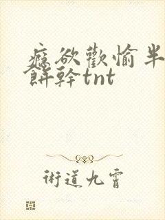 瘾欲欢愉半块小饼干tnt