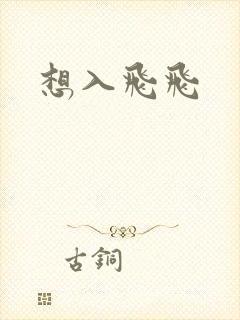 想入飞飞封面