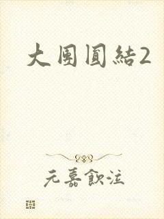 大团圆结2
