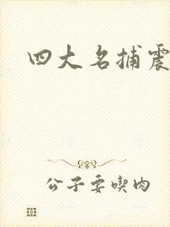 四大名捕震关东