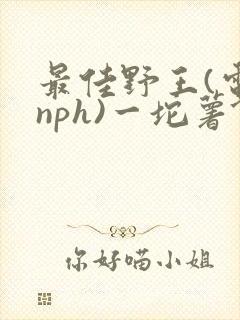 最佳野王(电竞nph)一坨薯饼
