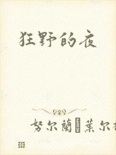 狂野的夜