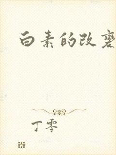 白素的改变封面