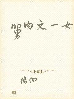 np肉文一女多男
