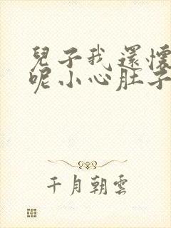 儿子我还怀着孕呢小心肚子封面