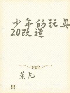 少年的玩具1一20改造