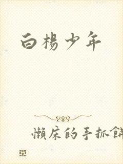 白杨少年