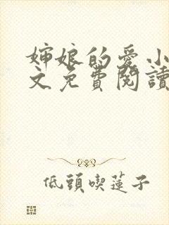 婶娘的爱小说全文免费阅读封面