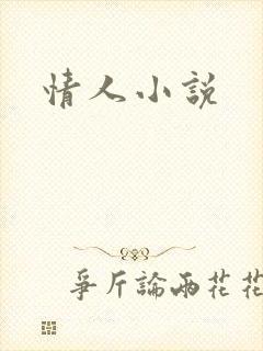 情人小说封面
