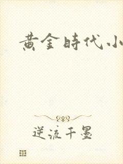 黄金时代小说