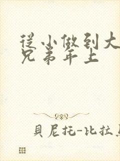 从小做到大骨科兄弟年上