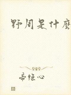 野周是什么意思