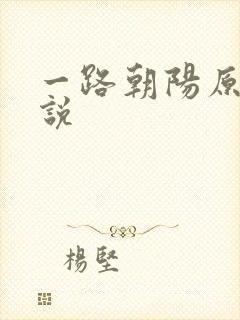 一路朝阳原著小说封面