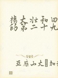 杨大壮和田桂花的第二十九