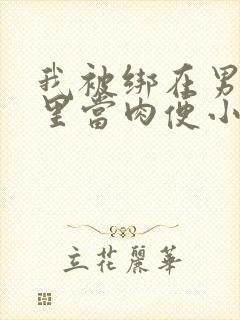 我被绑在男公厕里当肉便小说