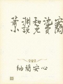 萧渊和沈安安的小说免费阅读