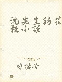 沈先生的花式调教小说