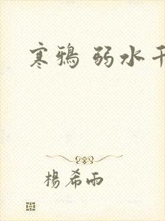 寒鸦 弱水千流封面