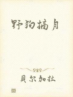 野狗摘月封面