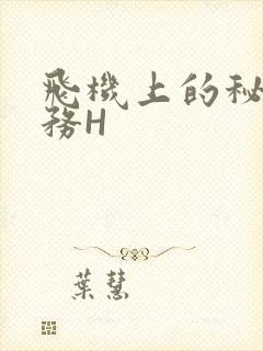 飞机上的秘密服务H