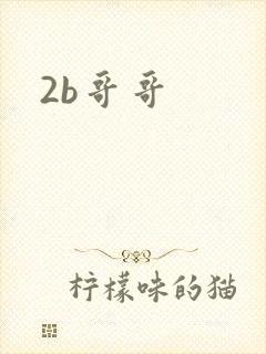 2b哥哥