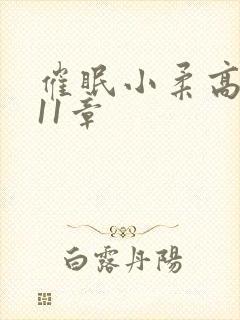 催眠小柔高达第11章