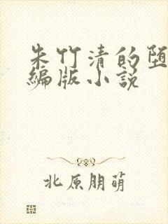 朱竹清的堕落改编版小说封面