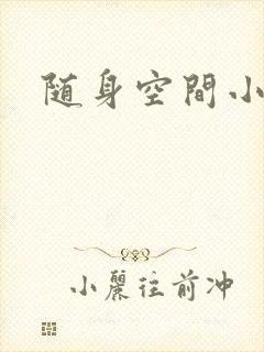 随身空间小说封面