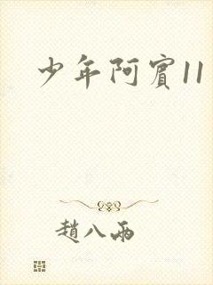 少年阿宾11封面