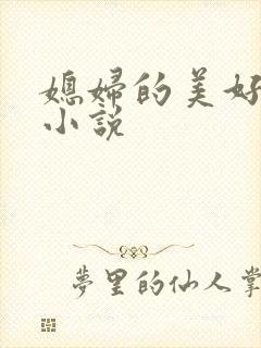 媳妇的美好时代小说