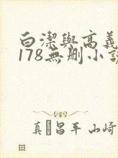 白洁与高义1～178无删小说封面