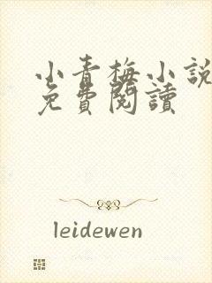 小青梅小说全文免费阅读