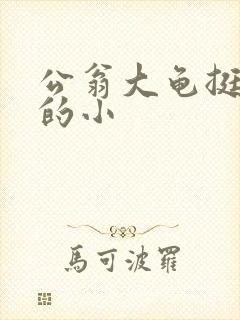 公翁大龟挺进我的小封面