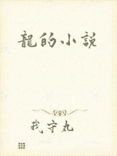 龙的小说