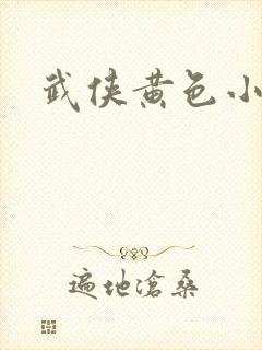 武侠黄色小说封面