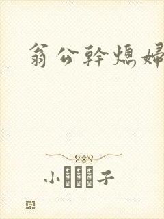 翁公干熄妇封面