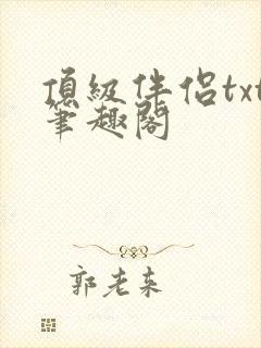 顶级伴侣txt笔趣阁