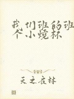 我们班的班花是个小烧杯