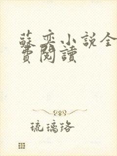 苏奕小说全文免费阅读封面