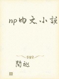 np肉文小说