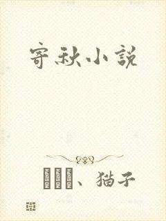 寄秋小说封面