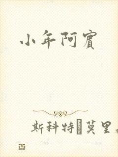 小年阿宾封面