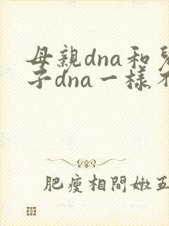 母亲dna和儿子dna一样不