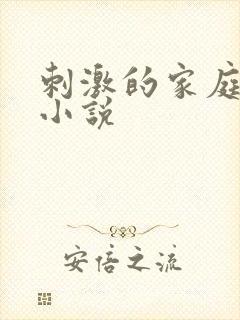 刺激的家庭乱仑小说封面