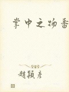 掌中之物番外封面